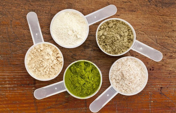 protein powders